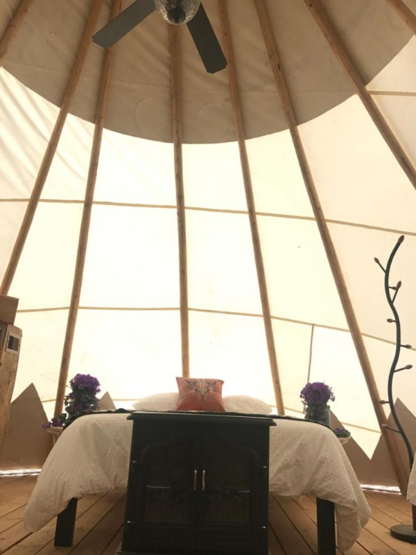 Olancha RV Park and Motel image 125