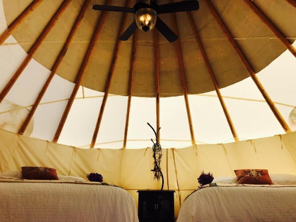 Olancha RV Park and Motel image 133