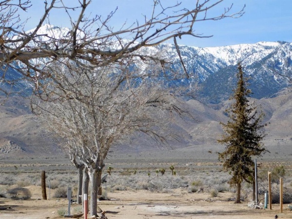 Olancha RV Park and Motel image 85